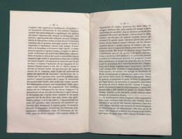 <strong>Sulla legislazione delle miniere. Letture fatte alla Reale Accademia dei Georgofili.</strong> Estratto dagli Atti dei Georgofili, nuova serie.